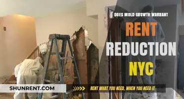 NYC Rent Reduction: Is Mold Growth a Valid Reason?