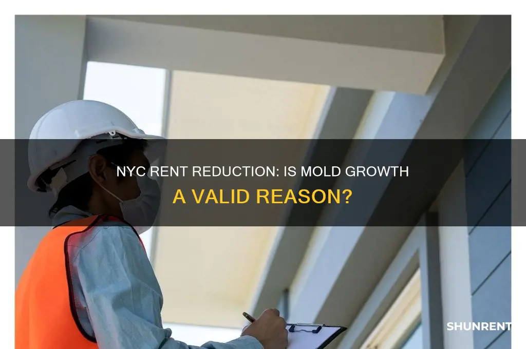 does mold growth warrant rent reduction nyc