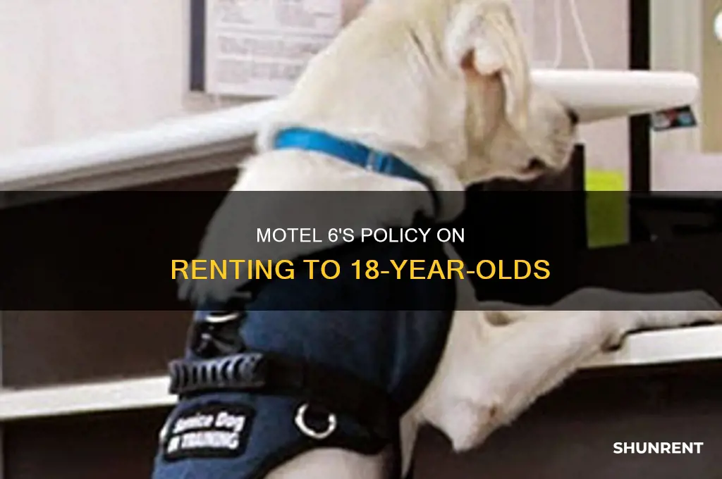 does motel 6 rent to 18 year olds