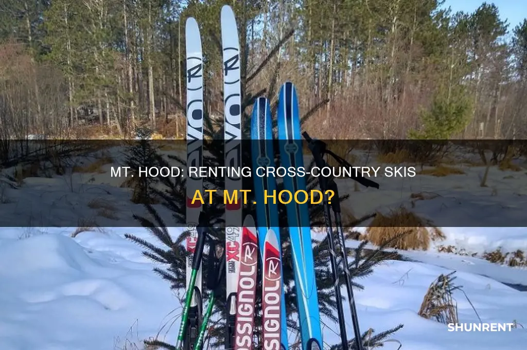 does mt hood neafows rent criss country skis