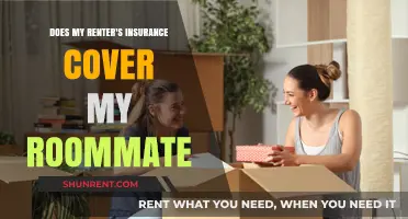 Does Your Roommate's Belongings Are Covered by Your Renter's Insurance?