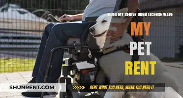 Pet Rent and Service Animal Licenses: What's the Deal?