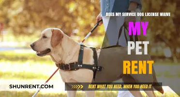 Service Dog Licensing: Waiving Pet Rent?