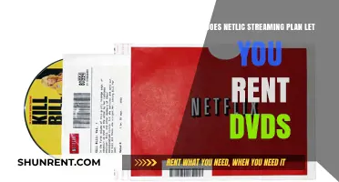 Netlix DVD Rental: What's the Deal?