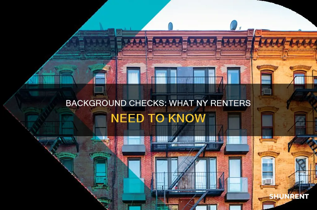 does ny state require you to payfor background to rent