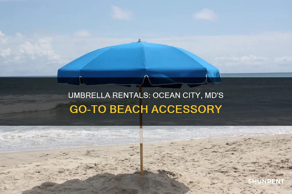 does ocean city md have umbrellas to rent