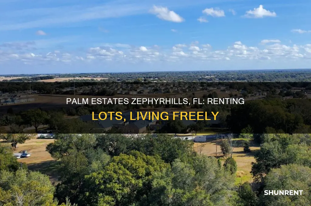 does palm estates have lot rents zephryhills fl