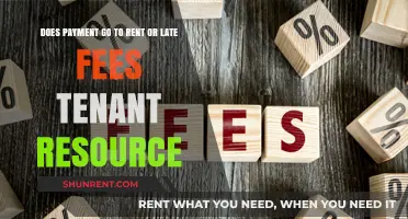 Rent or Late Fees: What Should You Pay First?