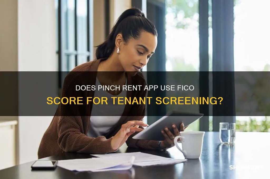 does pinch rent app use fico score