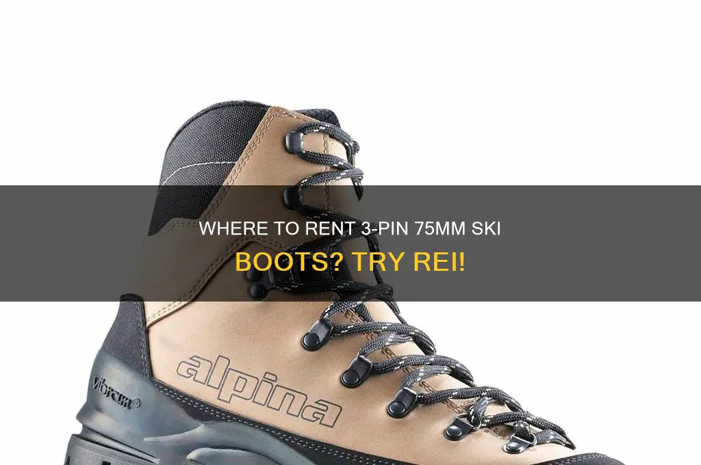 does rei rent 3 pin 75 mm ski boots