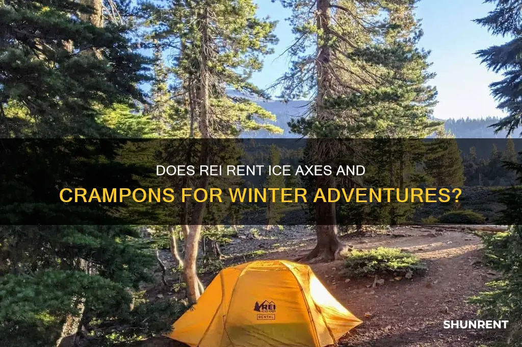 does rei rent ice axe and crampons