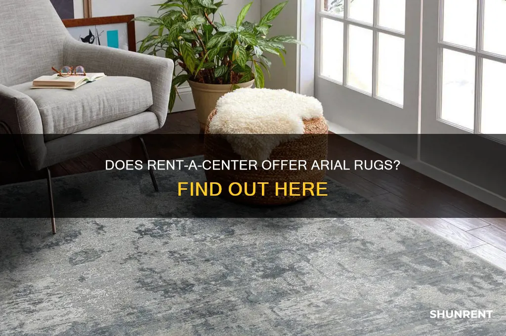 does rent a center have arial rugs