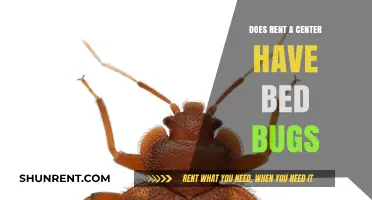 Does Rent-A-Center Have Bed Bugs? Facts and Prevention Tips