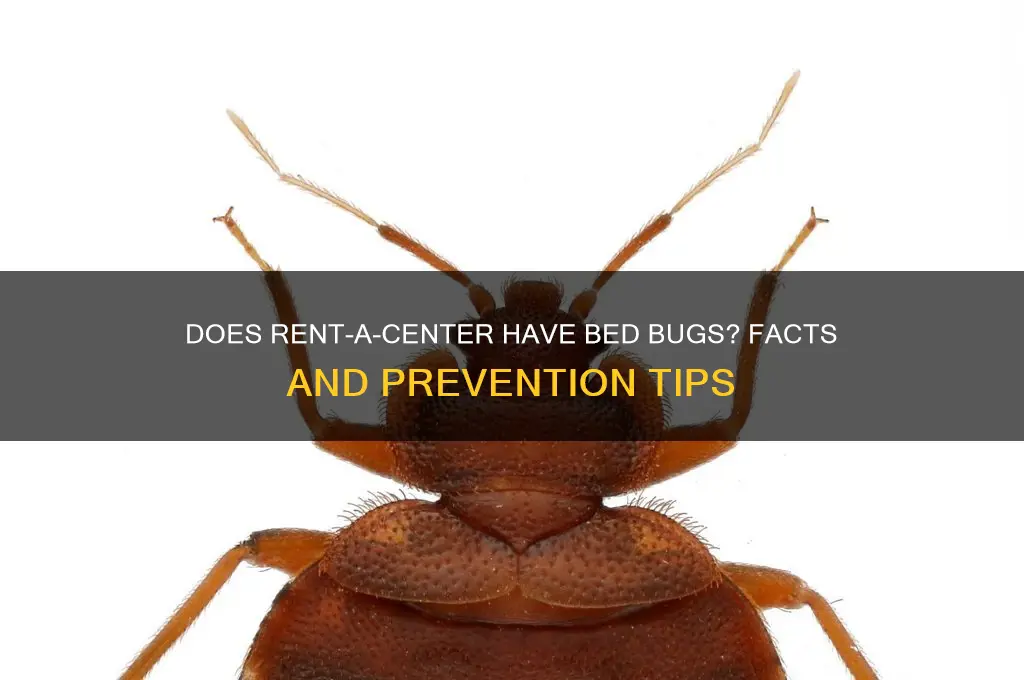 does rent a center have bed bugs