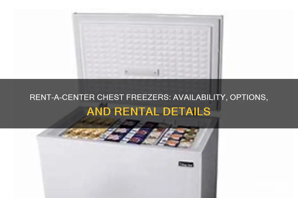 does rent a center have chest freezers