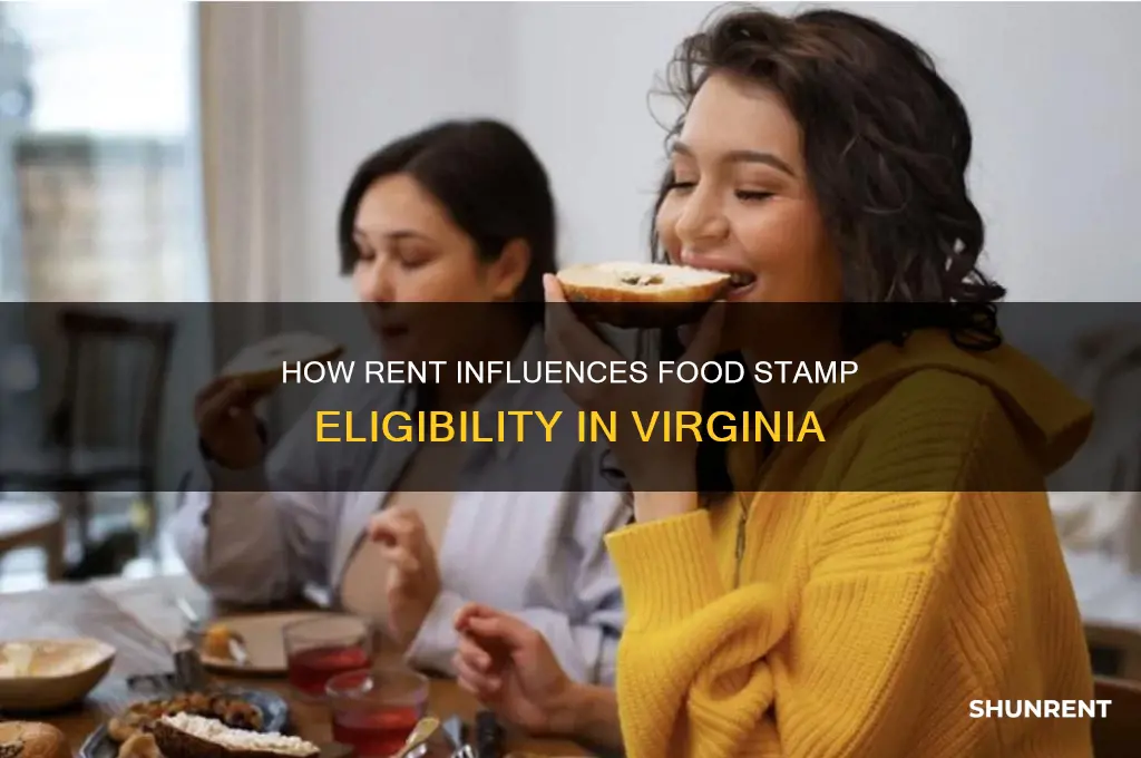 does rent count towards food stamps in virginia