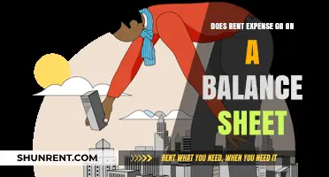 Rent Expense: A Balance Sheet Essential?