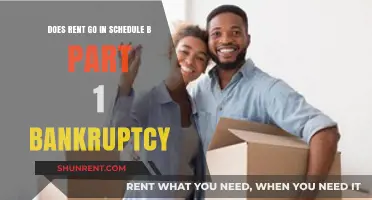 Understanding Rent in Schedule B, Part 1 of Bankruptcy