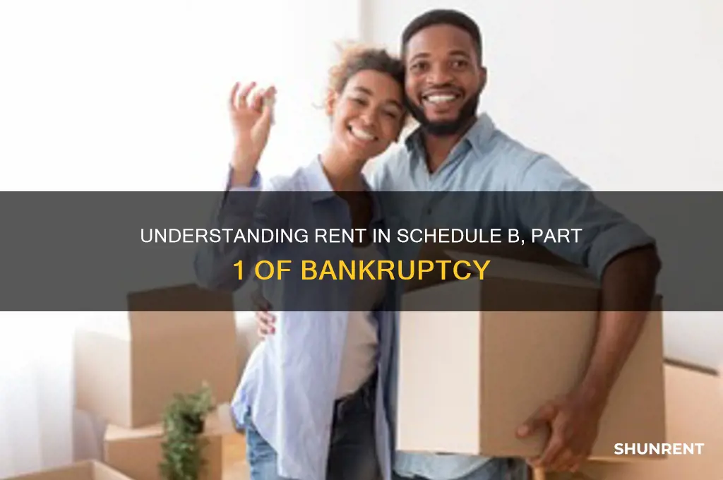 does rent go in schedule b part 1 bankruptcy