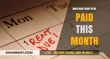 Rent Payment Due: What to Do This Month
