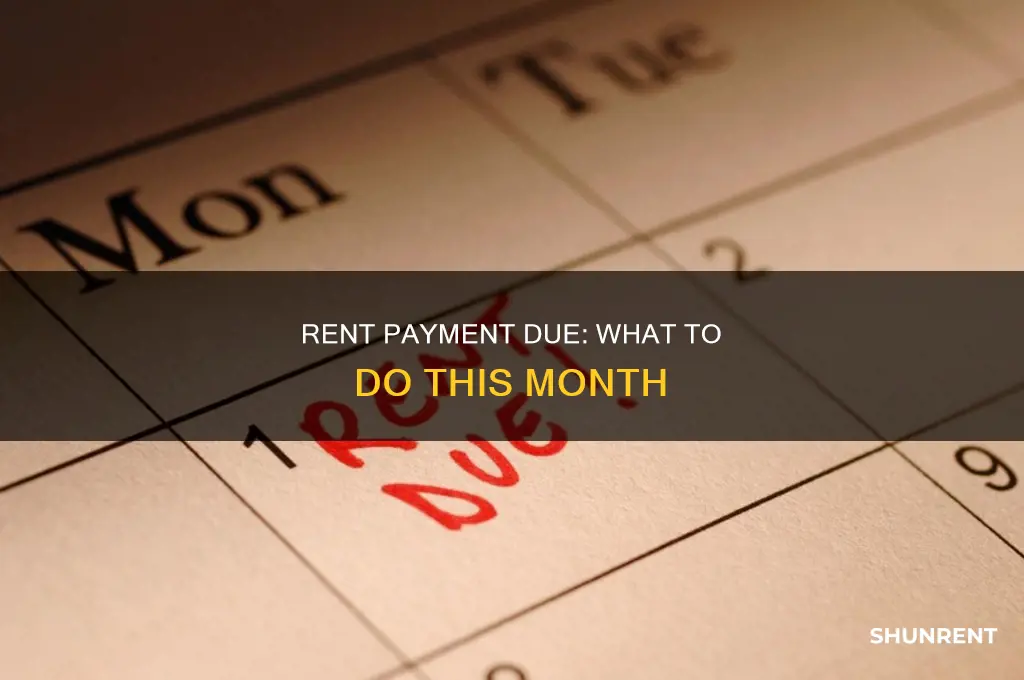 does rent need to be paid this month