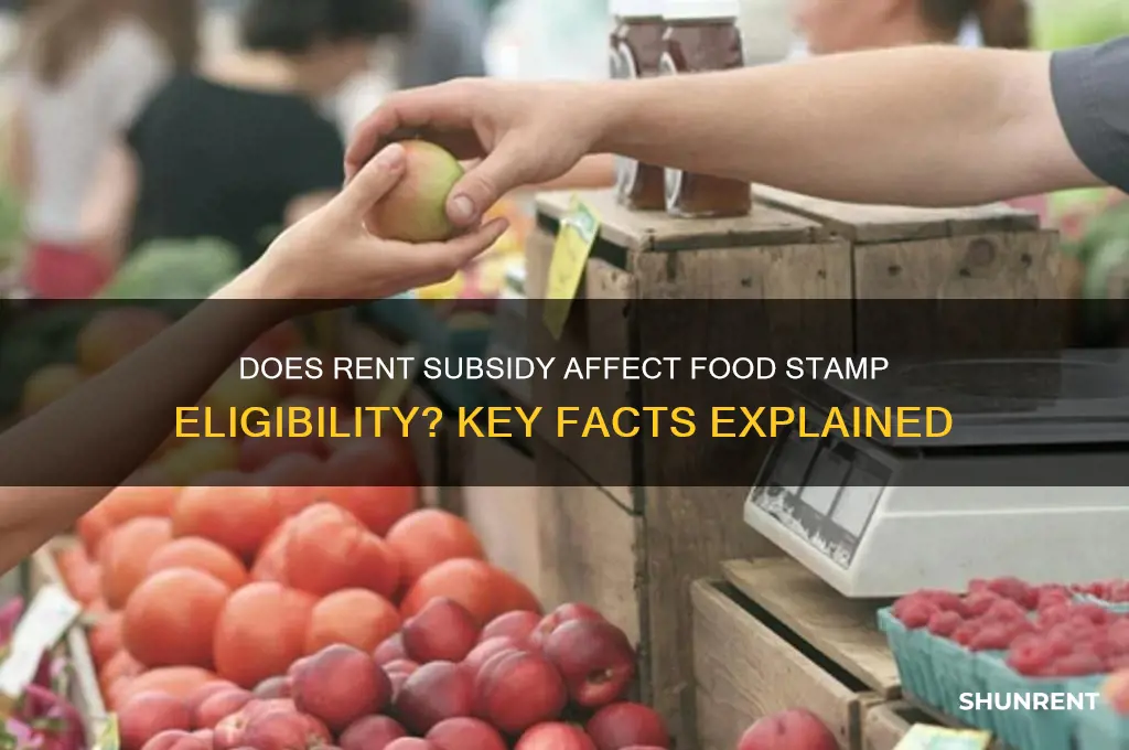 does rent subsidy count for food stamps