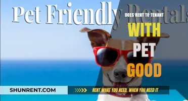 Renting to Pet Owners: Benefits and Considerations for Landlords
