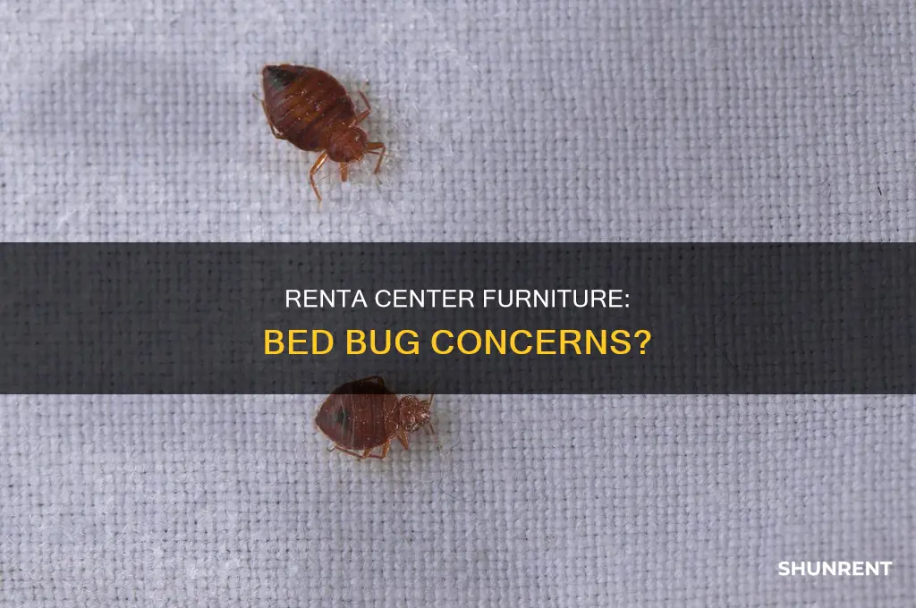 does renta center have bed bugs in tgere furniture