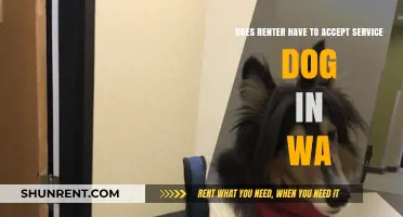 Service Dog Rights: WA Renters