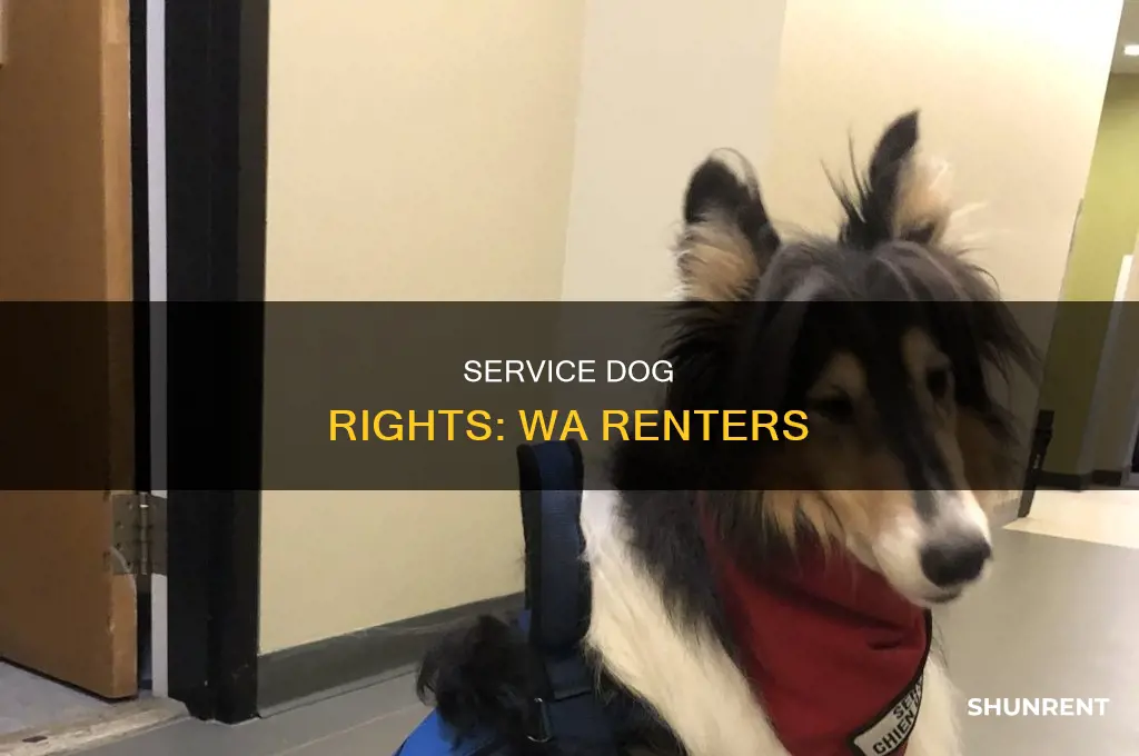 does renter have to accept service dog in wa