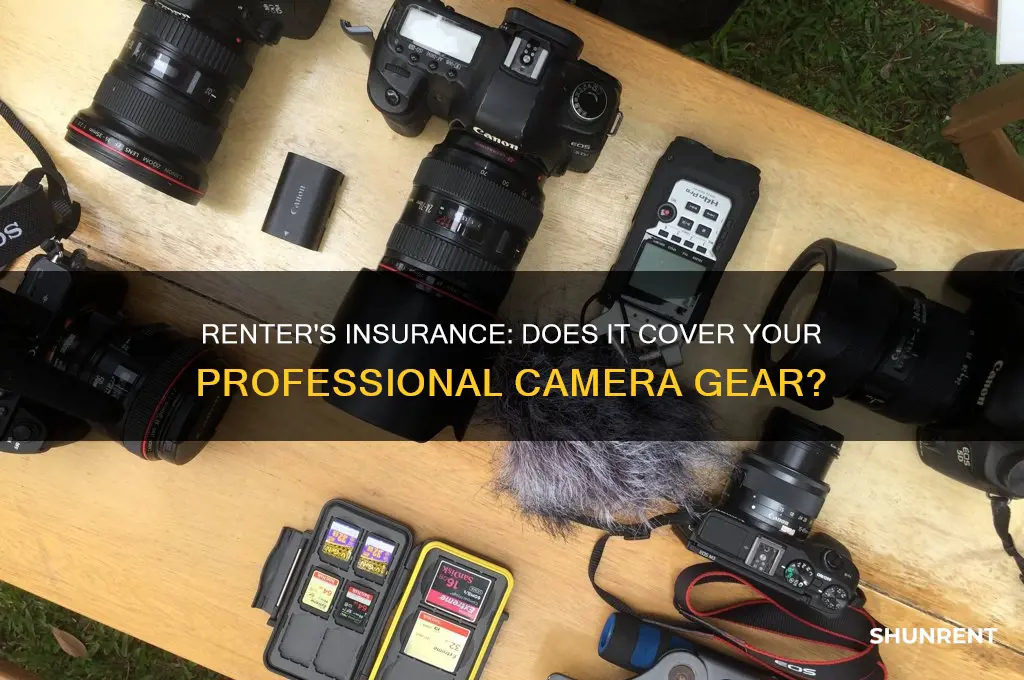 does renter insurance cover camera used for professional work
