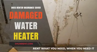 Does Renter's Insurance Cover Water Heater Damage? What to Know