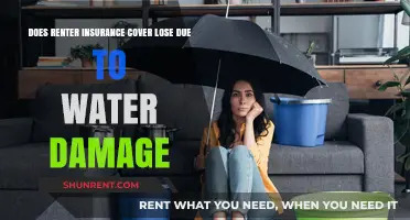 Renter's Insurance: Does It Cover Water Damage Loss?