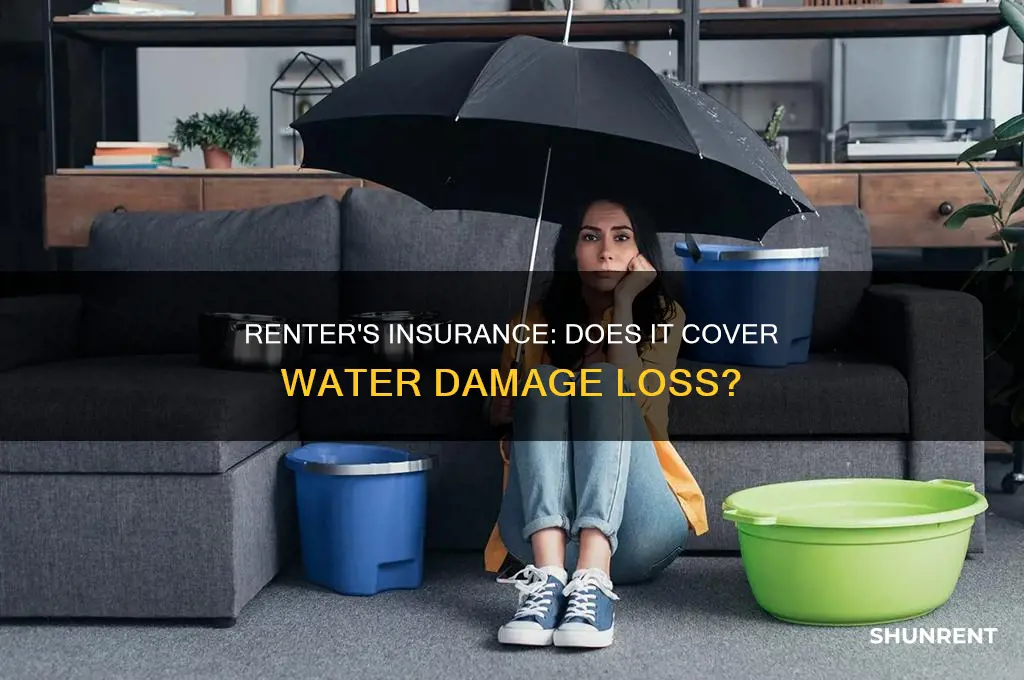 does renter insurance cover lose due to water damage
