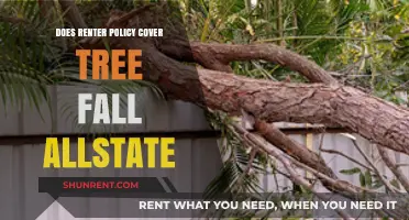 Does Renter's Insurance Cover Tree Damage? Allstate Policy Explained