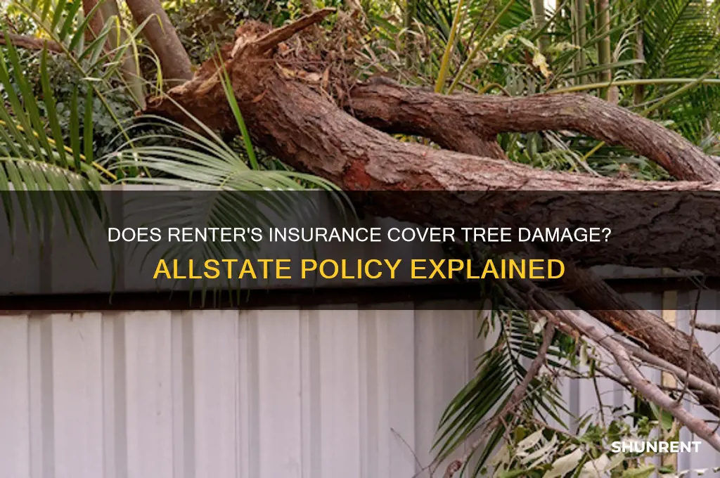 does renter policy cover tree fall allstate