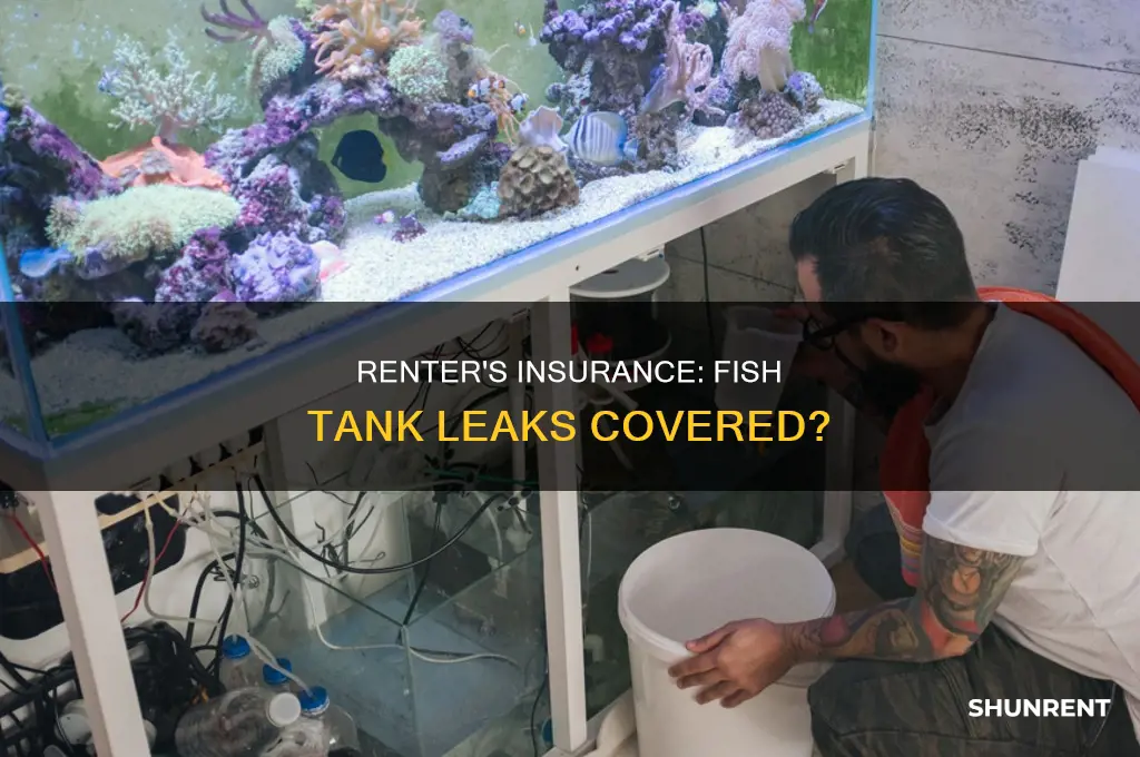 does renter