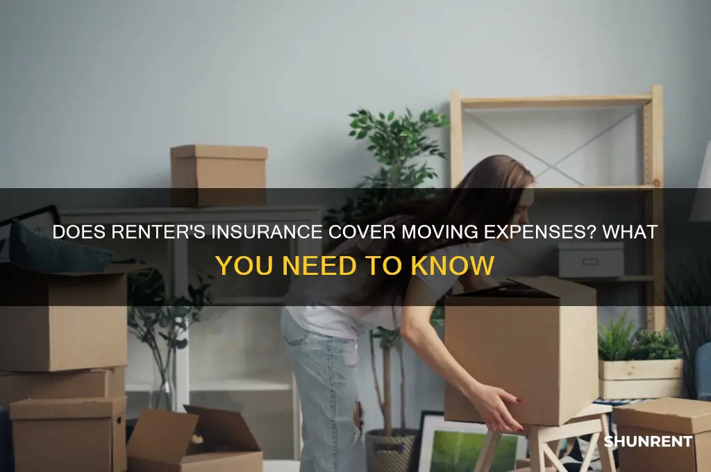 does renter