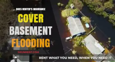 Does Renter's Insurance Cover Basement Flooding? What You Need to Know