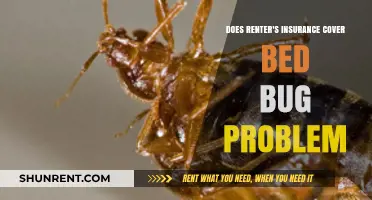 Renter's Insurance: Bed Bug Infestation Covered?