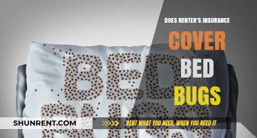 Does Renter's Insurance Cover Bed Bug Infestations? What You Need to Know