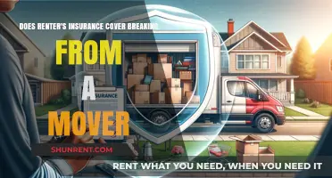 Renter's Insurance: Covering Breakage from Movers