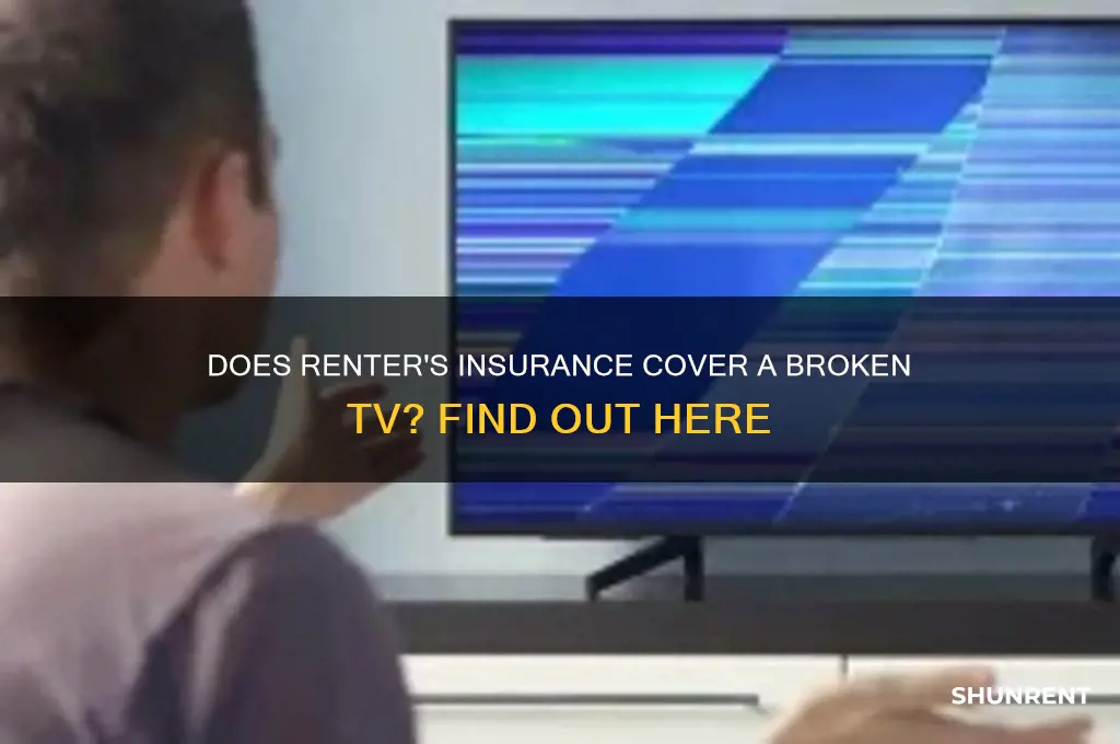does renter