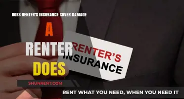 Renter's Insurance: Damage by Renters Covered?