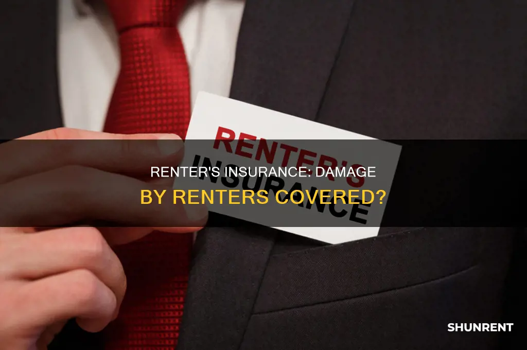 does renter