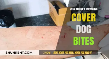 Does Renter's Insurance Cover Dog Bites? What You Need to Know