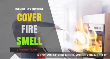 Does Renter's Insurance Cover Fire Odor Removal? What to Know