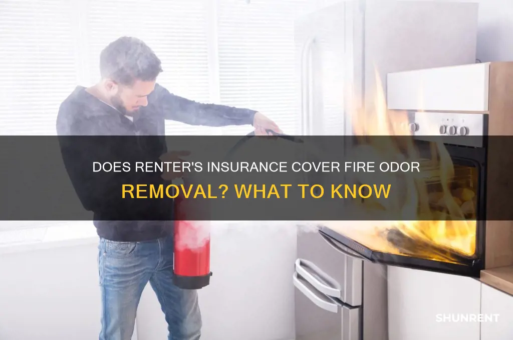 does renter