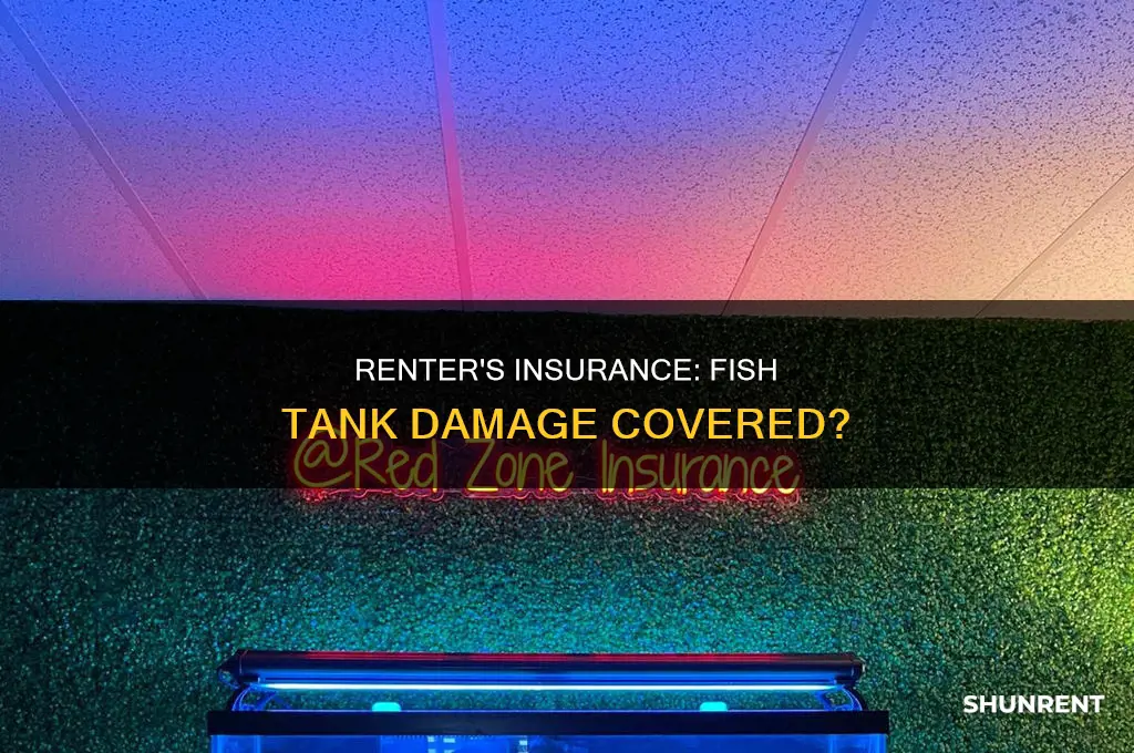 does renter