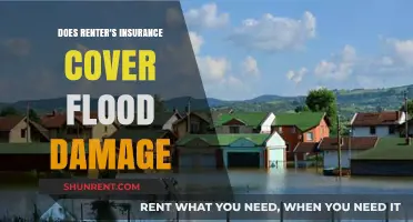 Does Renter's Insurance Cover Flood Damage? What You Need to Know